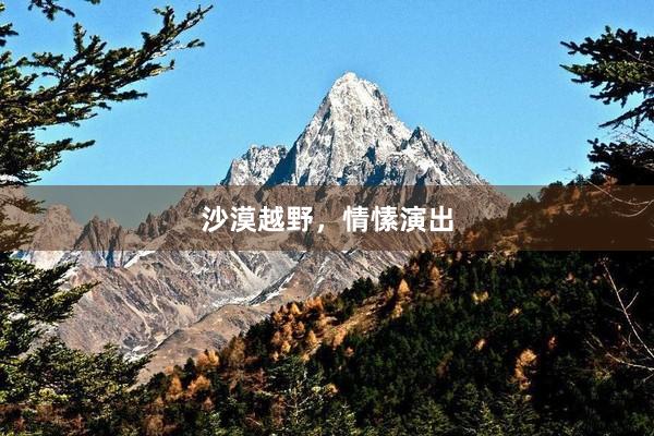 沙漠越野，情愫演出