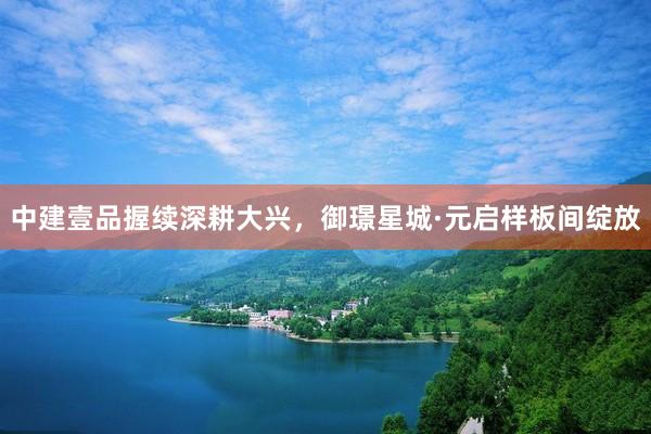 中建壹品握续深耕大兴，御璟星城·元启样板间绽放