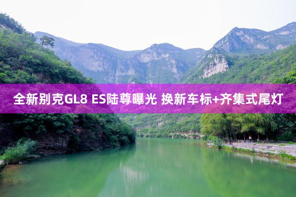 全新别克GL8 ES陆尊曝光 换新车标+齐集式尾灯